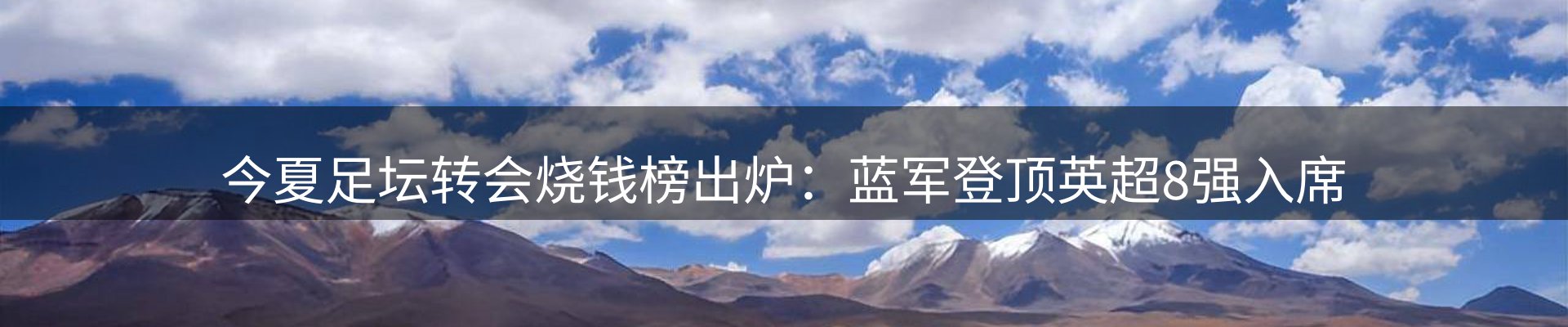 公司导读