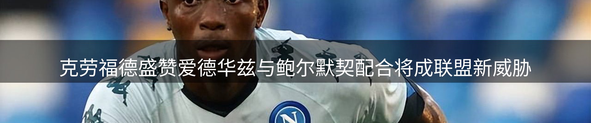 公司导读