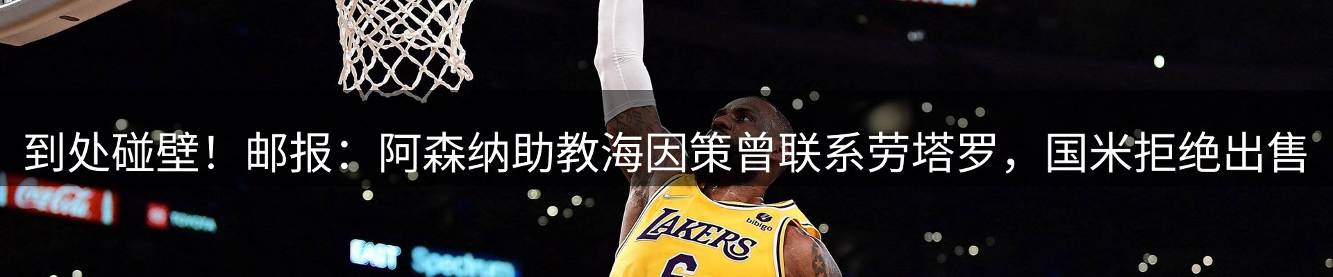 公司导读