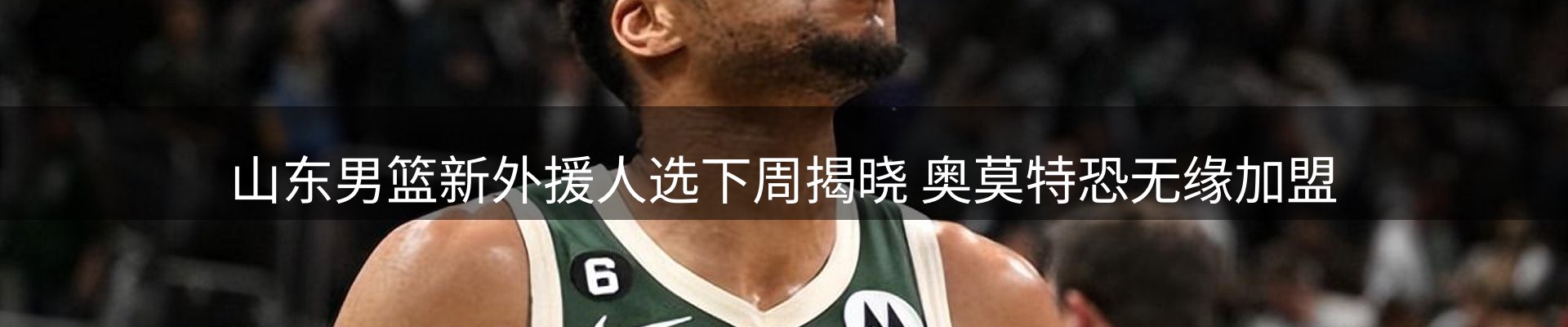 公司导读